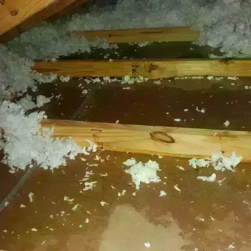 Attic Water Damage in Spalding County, GA