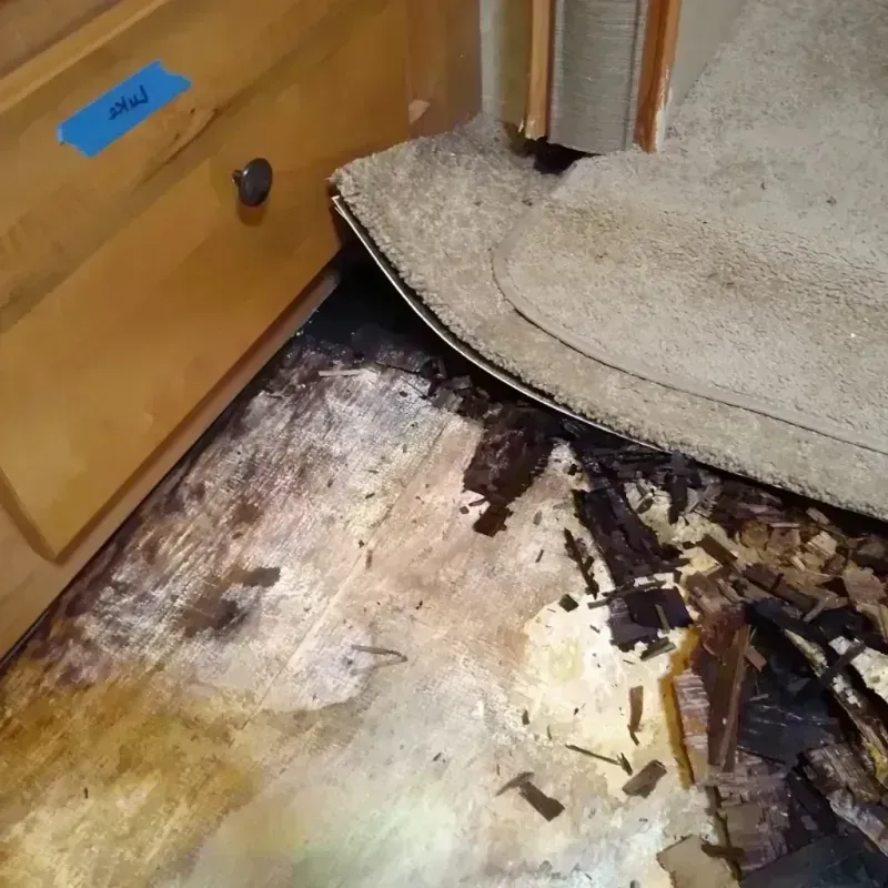 Wood Floor Water Damage in Spalding County, GA